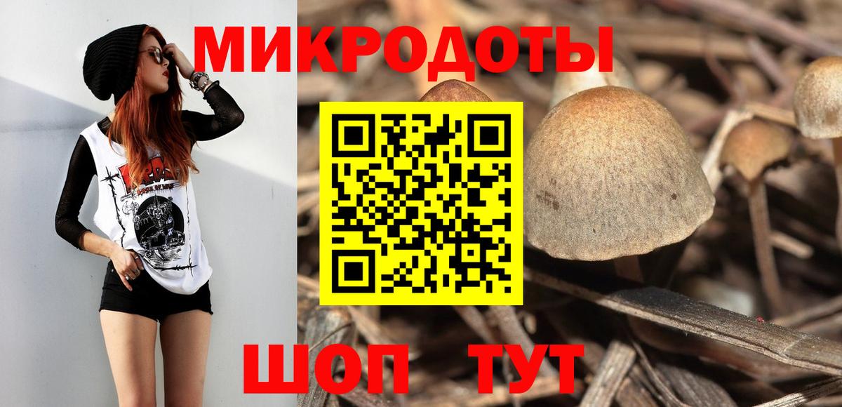 Славгород  Псилоцибиновые грибы прущие грибы  Галлюциногенные грибы Psilocybe  продажа наркотиков  Вход с VPN 
