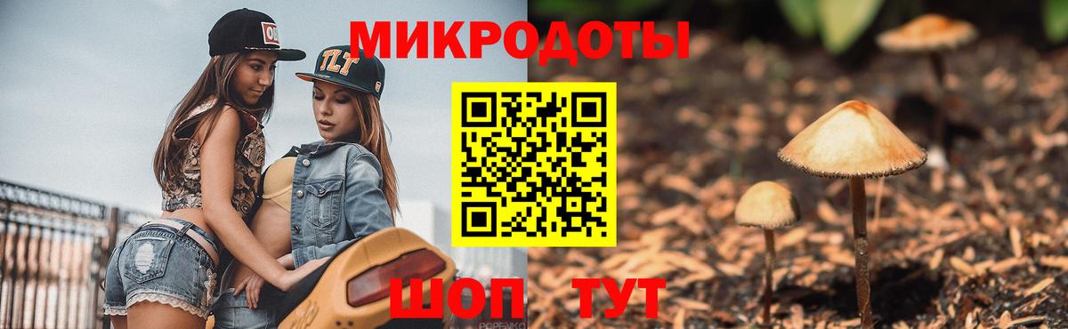 Псилоцибиновые грибы мицелий Славгород